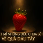 Bật mí những điều chưa biết về quả dâu tây