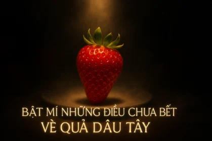 Bật mí những điều chưa biết về quả dâu tây